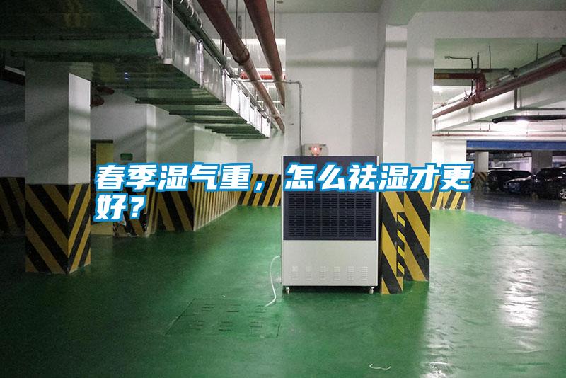 春季湿气重,怎么祛湿才更好?