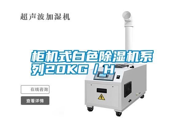 柜机式白色除湿机系列20KG/H