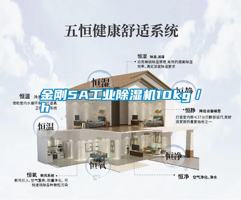 金刚5A长征娱乐除湿机10kg／h