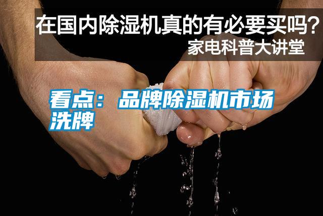 看点：品牌除湿机市场洗牌