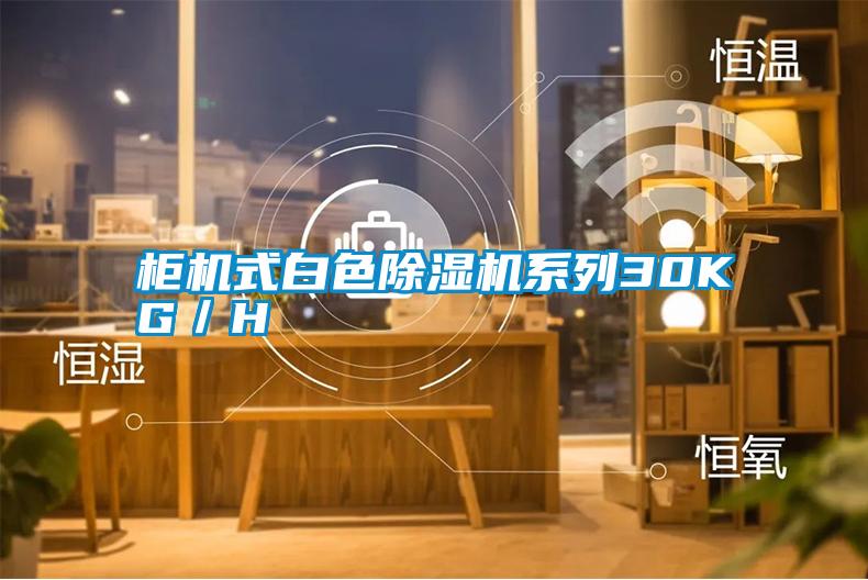柜机式白色除湿机系列30KG/H
