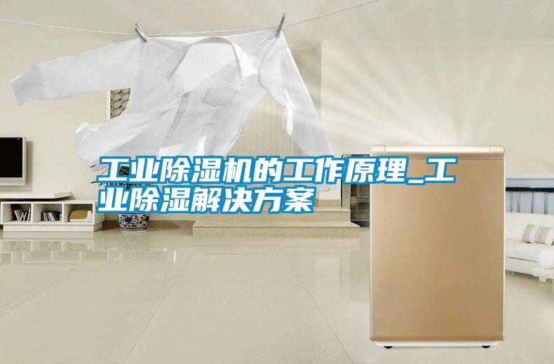长征娱乐除湿机的工作原理_长征娱乐除湿解决方案