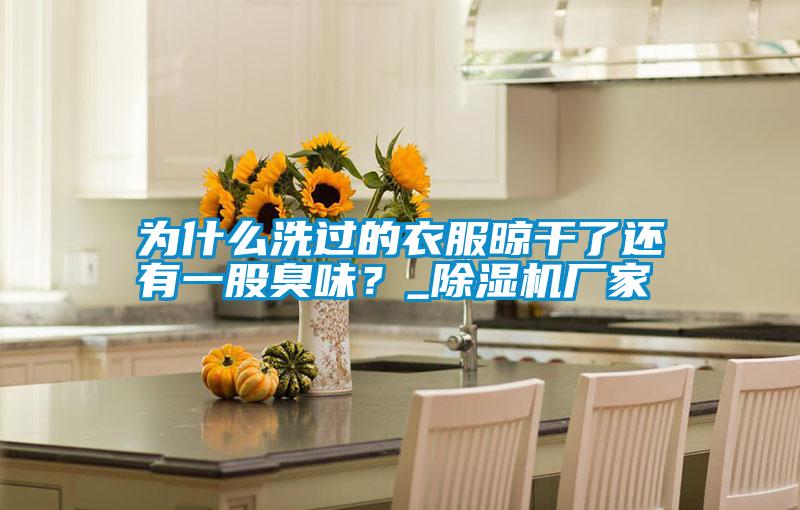 为什么洗过的衣服晾干了还有一股臭味?_除湿机厂家