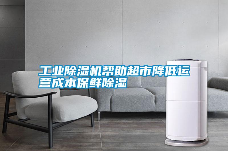 长征娱乐除湿机帮助超市降低运营成本保鲜除湿