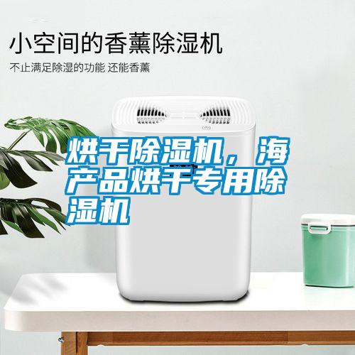 烘干除湿机,海产品烘干专用除湿机