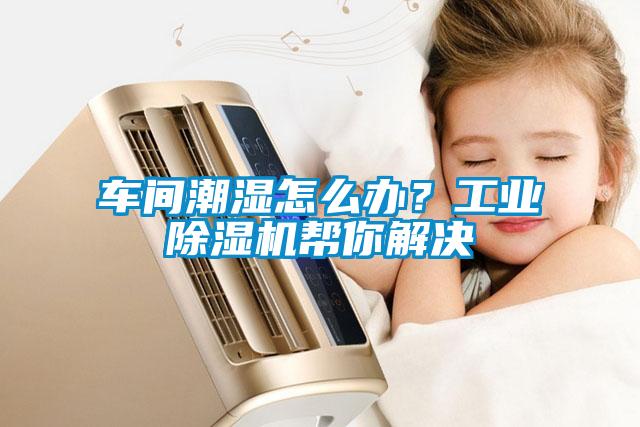 车间潮湿怎么办？长征娱乐除湿机帮你解决