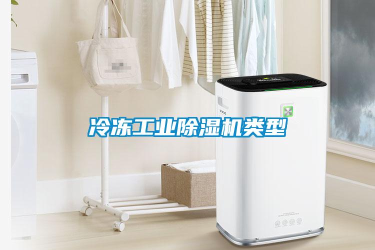 冷冻长征娱乐除湿机类型