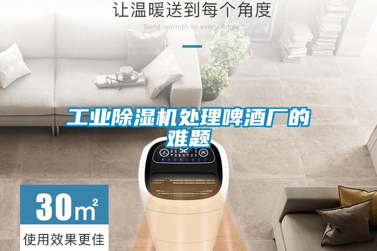 长征娱乐除湿机处理啤酒厂的难题