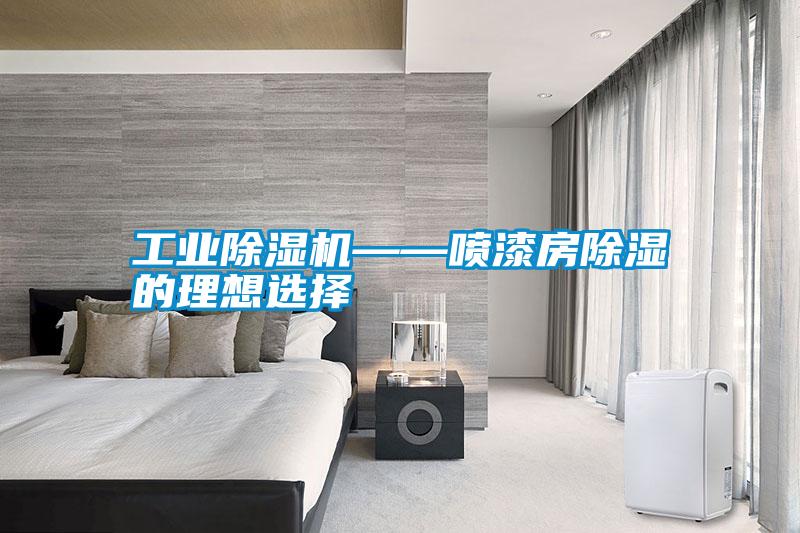 长征娱乐除湿机——喷漆房除湿的理想选择