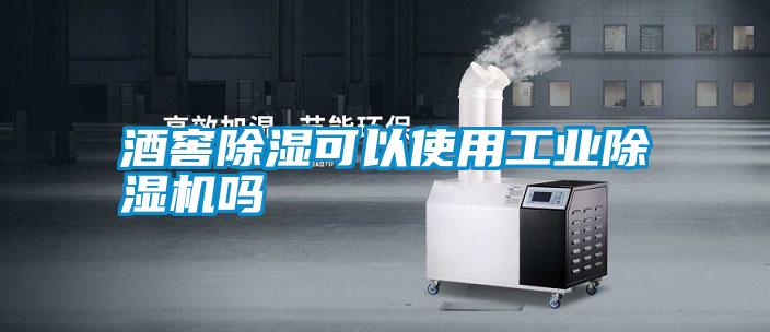 酒窖除湿可以使用长征娱乐除湿机吗