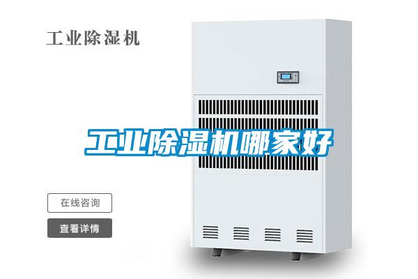 长征娱乐除湿机哪家好