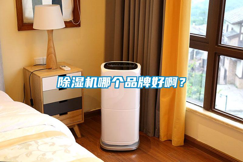除湿机哪个品牌好啊?