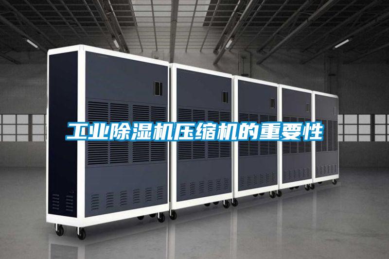 长征娱乐除湿机压缩机的重要性