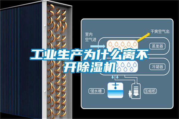 长征娱乐生产为什么离不开除湿机