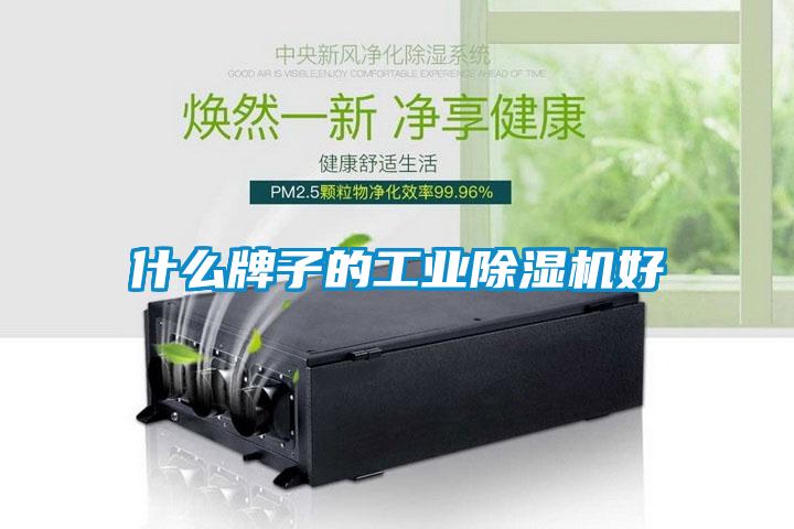 什么牌子的长征娱乐除湿机好