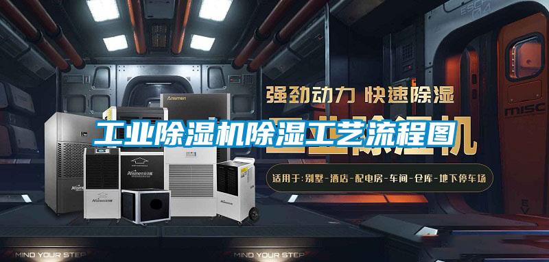 长征娱乐除湿机除湿工艺流程图