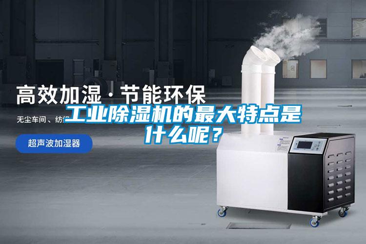 长征娱乐除湿机的最大特点是什么呢？