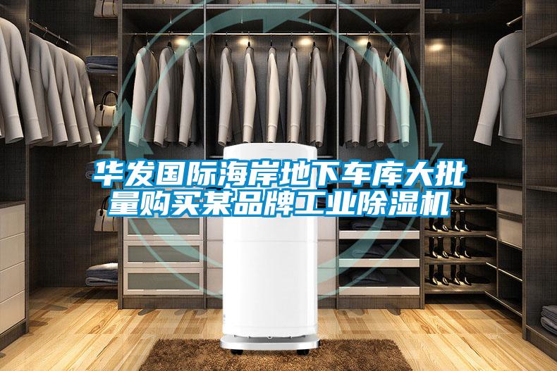 华发国际海岸地下车库大批量购买某品牌长征娱乐除湿机
