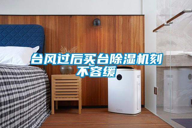 台风过后买台除湿机刻不容缓