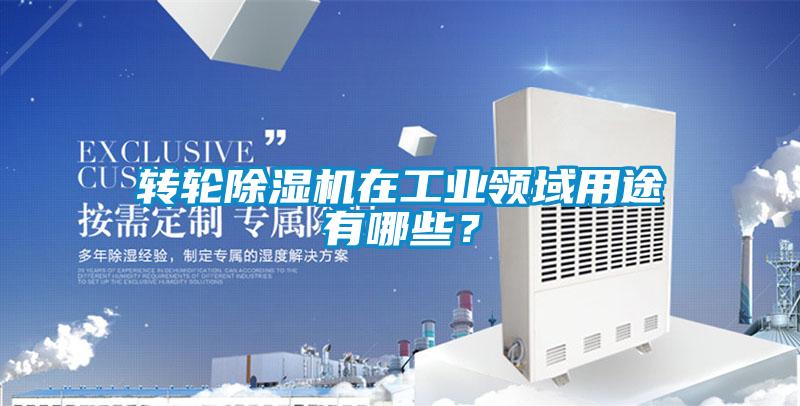 转轮除湿机在长征娱乐领域用途有哪些？