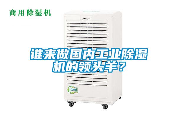 谁来做国内长征娱乐除湿机的领头羊？