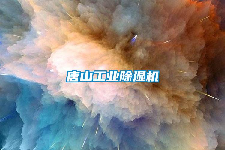 唐山长征娱乐除湿机