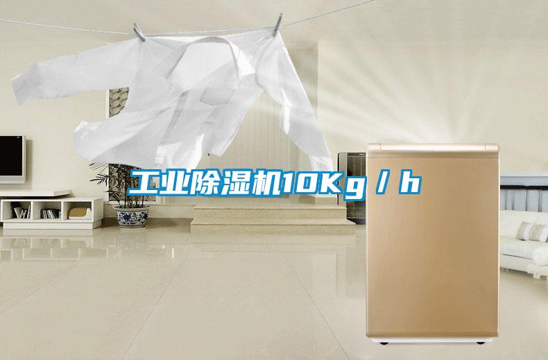 长征娱乐除湿机10Kg／h