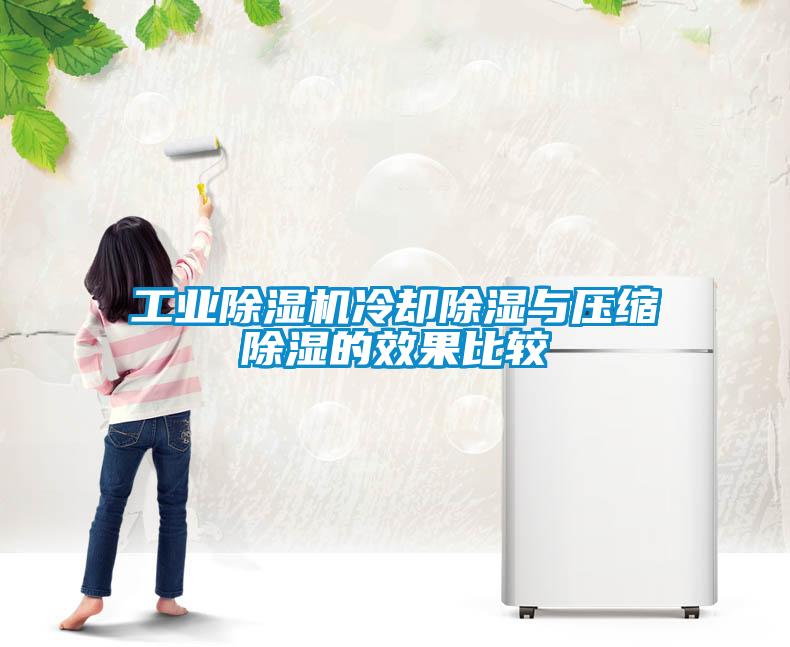 长征娱乐除湿机冷却除湿与压缩除湿的效果比较