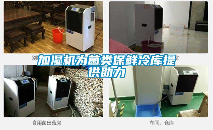 加湿机为菌类保鲜冷库提供助力