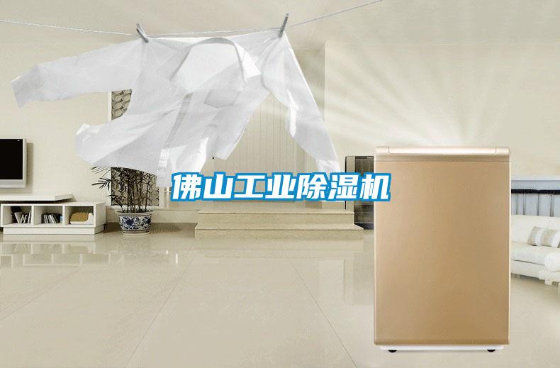 佛山长征娱乐除湿机