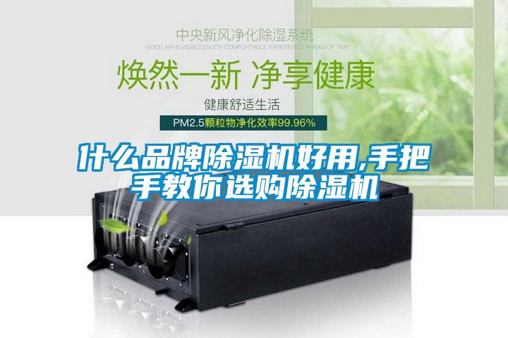 什么品牌除湿机好用,手把手教你选购除湿机