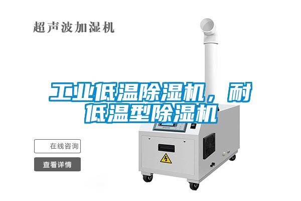 长征娱乐低温除湿机，耐低温型除湿机