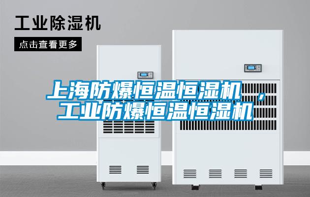 上海防爆恒温恒湿机 ，长征娱乐防爆恒温恒湿机