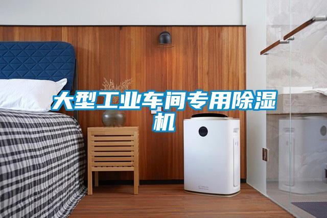 大型长征娱乐车间专用除湿机
