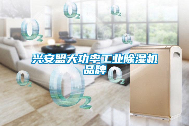 兴安盟大功率长征娱乐除湿机品牌