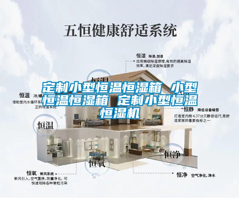 定制小型恒温恒湿箱 小型恒温恒湿箱 定制小型恒温恒湿机