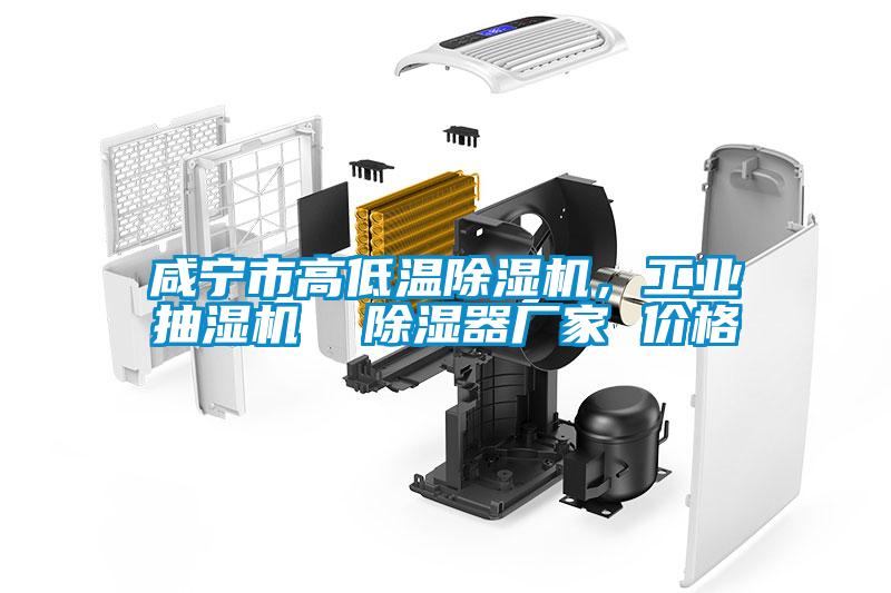咸宁市高低温除湿机，长征娱乐抽湿机  除湿器厂家 价格