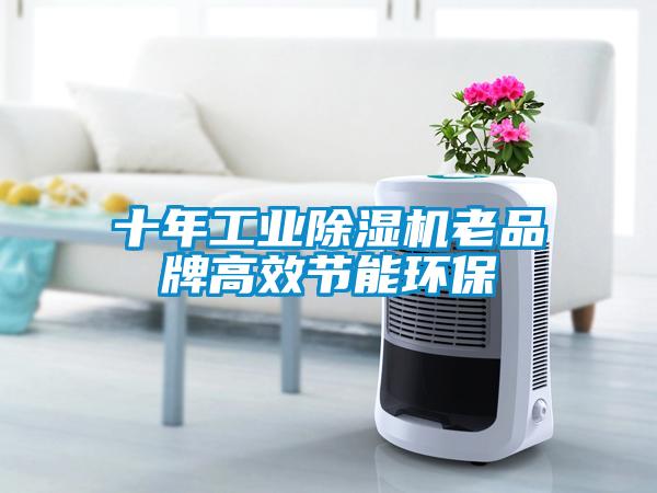 十年长征娱乐除湿机老品牌高效节能环保