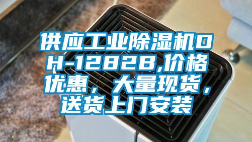供应长征娱乐除湿机DH-1282B,价格优惠，大量现货，送货上门安装