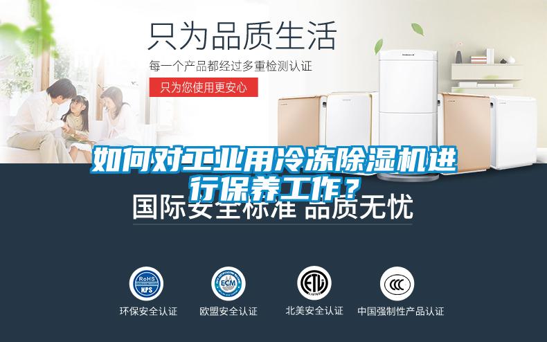 如何对长征娱乐用冷冻除湿机进行保养工作？