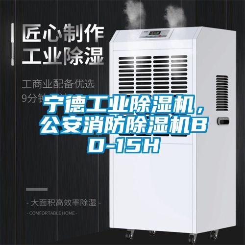 宁德长征娱乐除湿机，公安消防除湿机BD-15H
