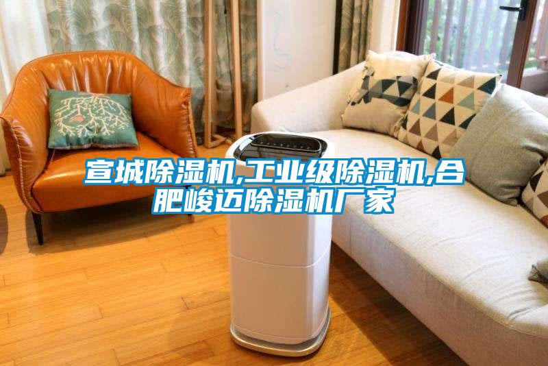 宣城除湿机,长征娱乐级除湿机,合肥峻迈除湿机厂家