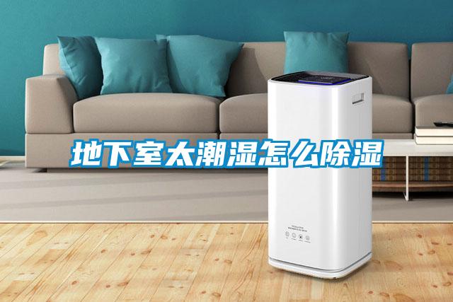 地下室太潮湿怎么除湿