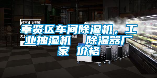 奉贤区车间除湿机，长征娱乐抽湿机  除湿器厂家 价格