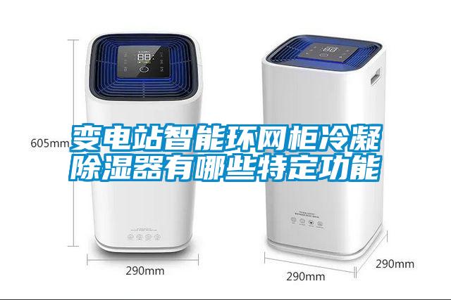 变电站智能环网柜冷凝除湿器有哪些特定功能