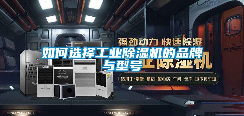 如何选择长征娱乐除湿机的品牌与型号