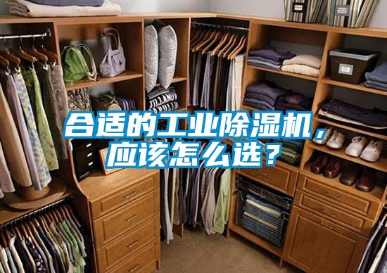合适的长征娱乐除湿机，应该怎么选？