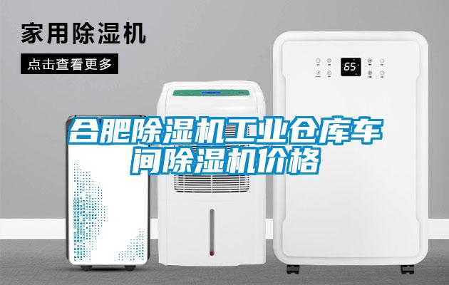 合肥除湿机长征娱乐仓库车间除湿机价格
