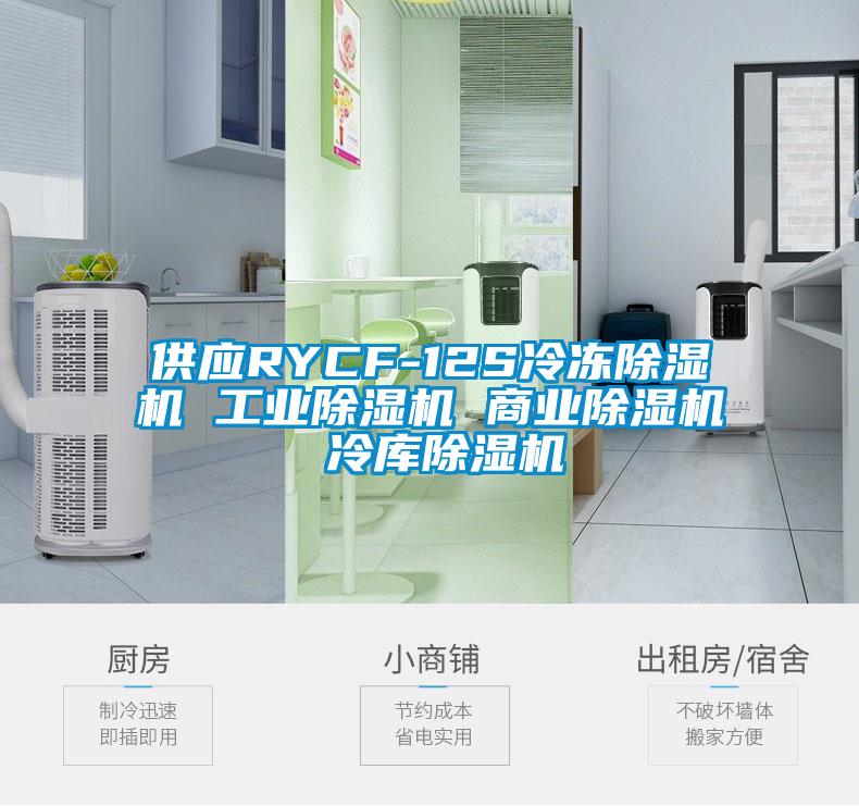 供应RYCF-12S冷冻除湿机 长征娱乐除湿机 商业除湿机 冷库除湿机