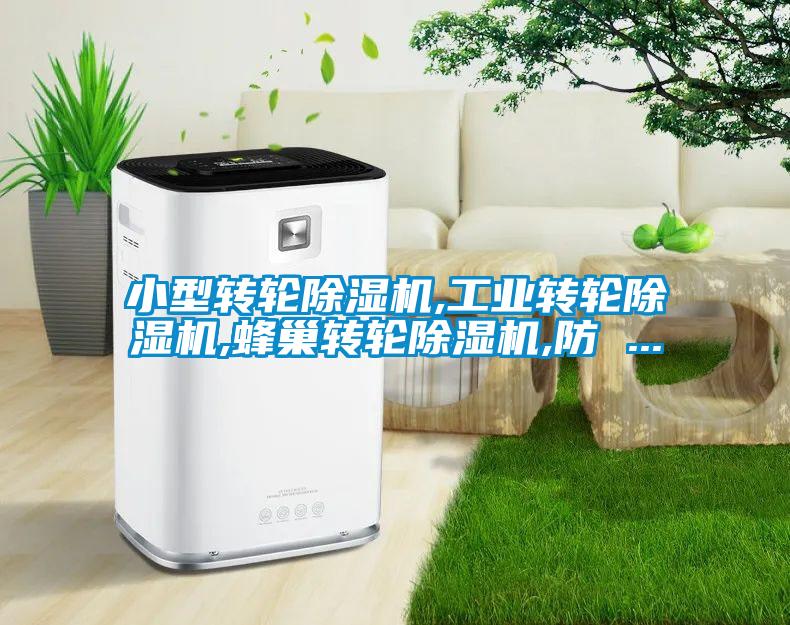 小型转轮除湿机,长征娱乐转轮除湿机,蜂巢转轮除湿机,防 ...